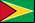 Flag of Guyana